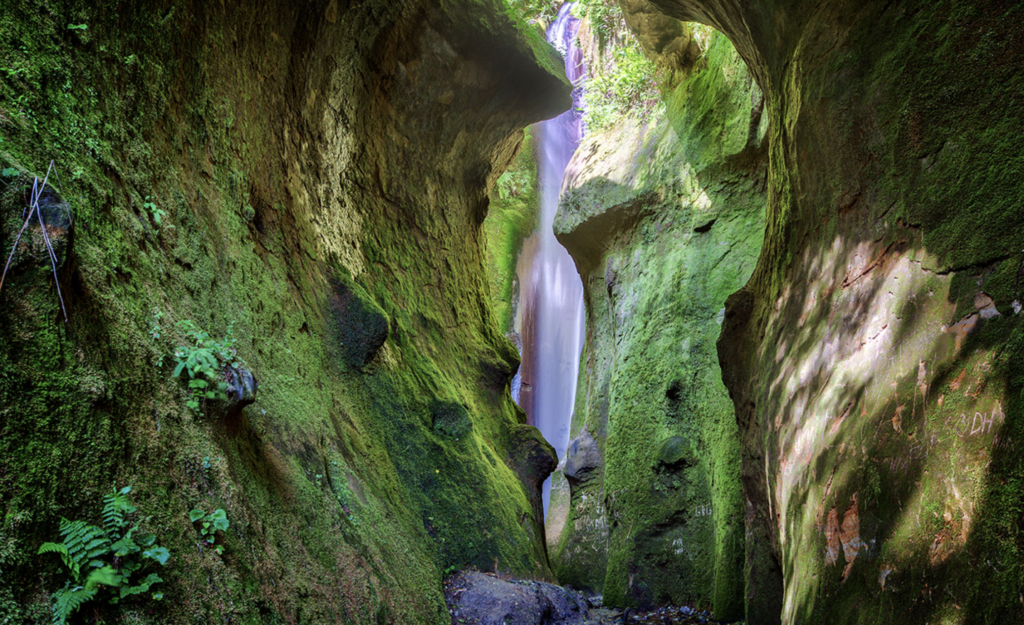 Vancouver Island Elopement